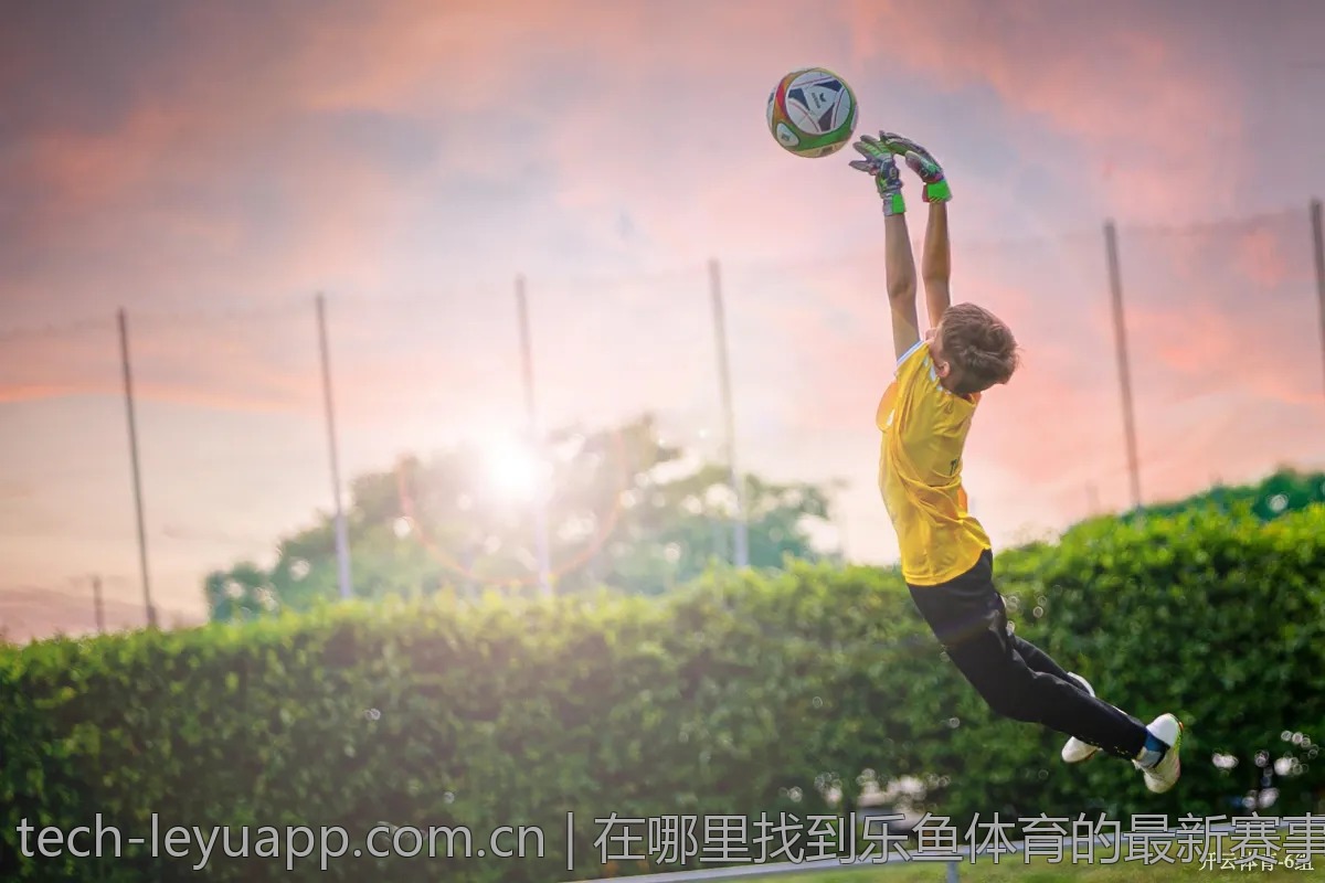 在哪里找到乐鱼体育的最新赛事信息？