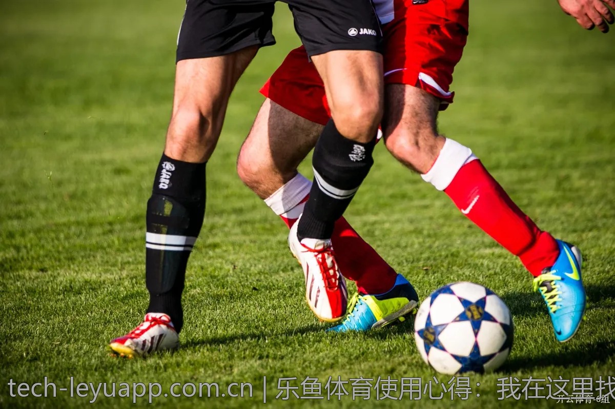 乐鱼体育使用心得：我在这里找到了乐趣