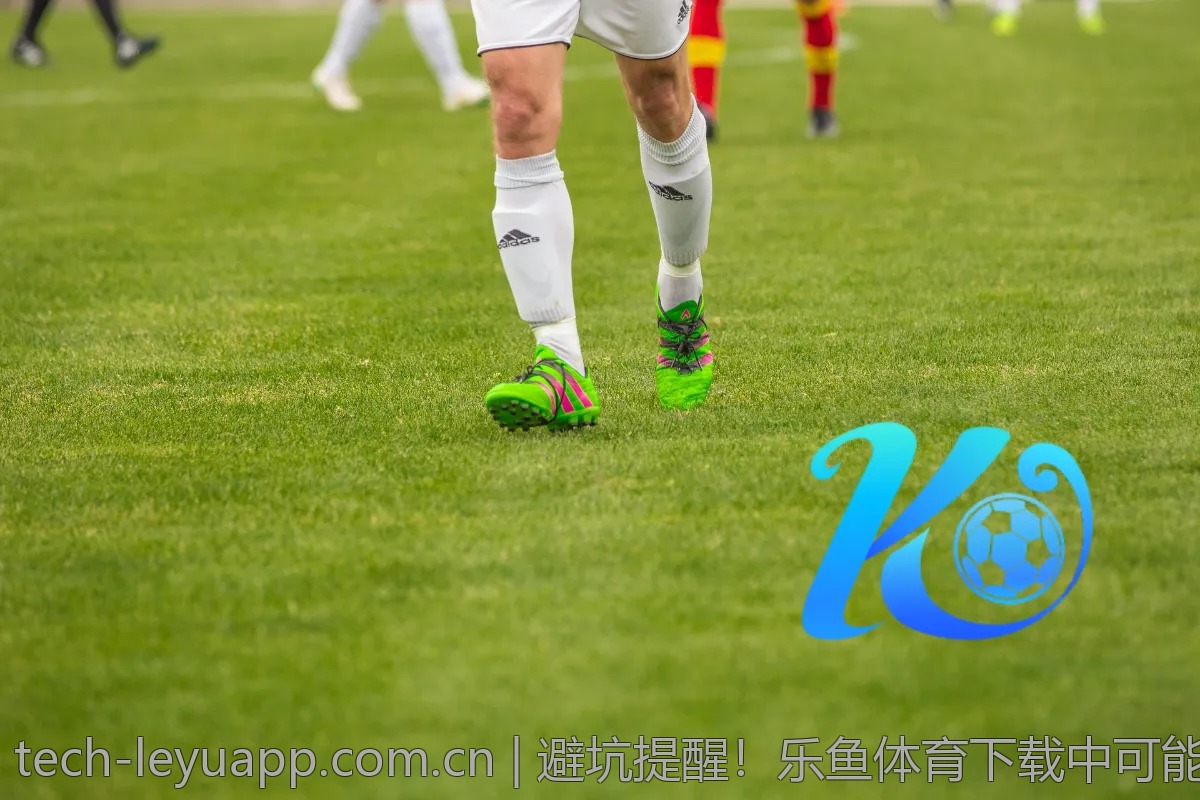 避坑提醒！乐鱼体育下载中可能忽视的小问题